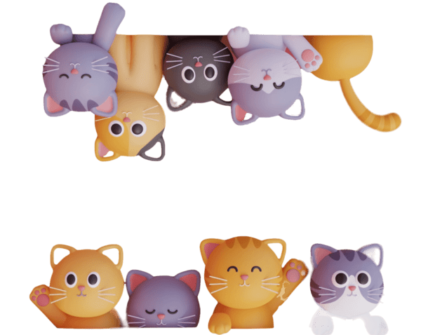discover meow